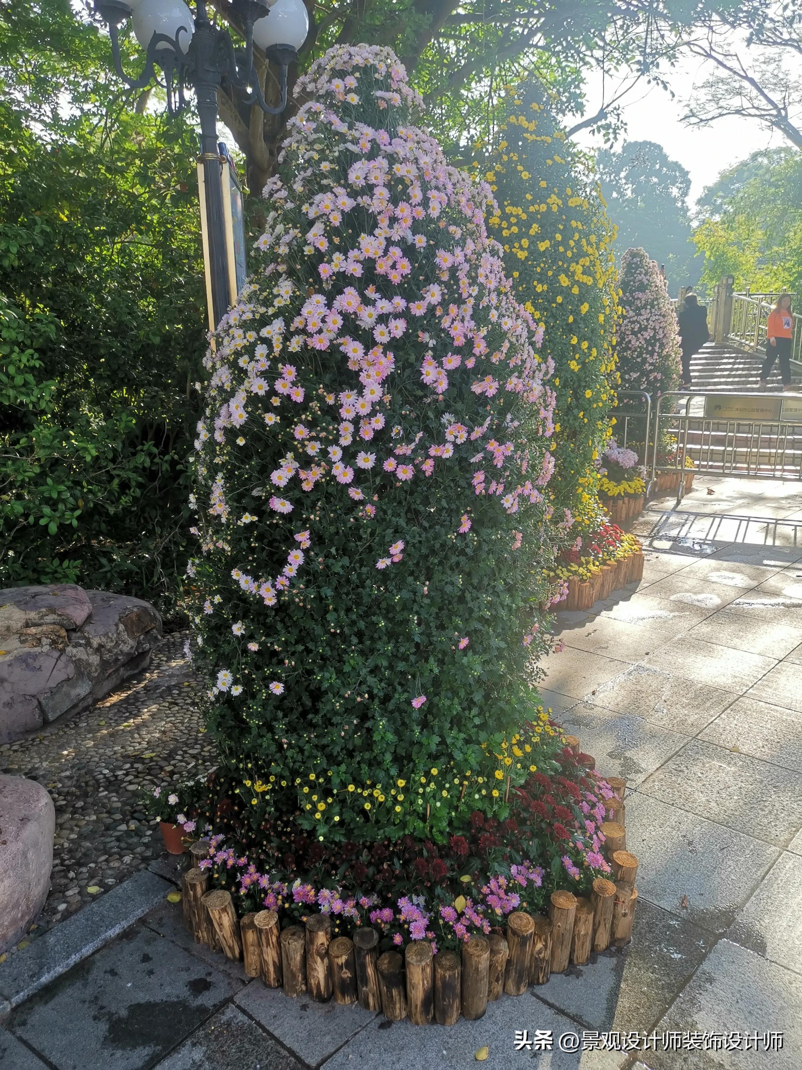 深圳市东湖公园广场舞,深圳市东湖公园收费标准