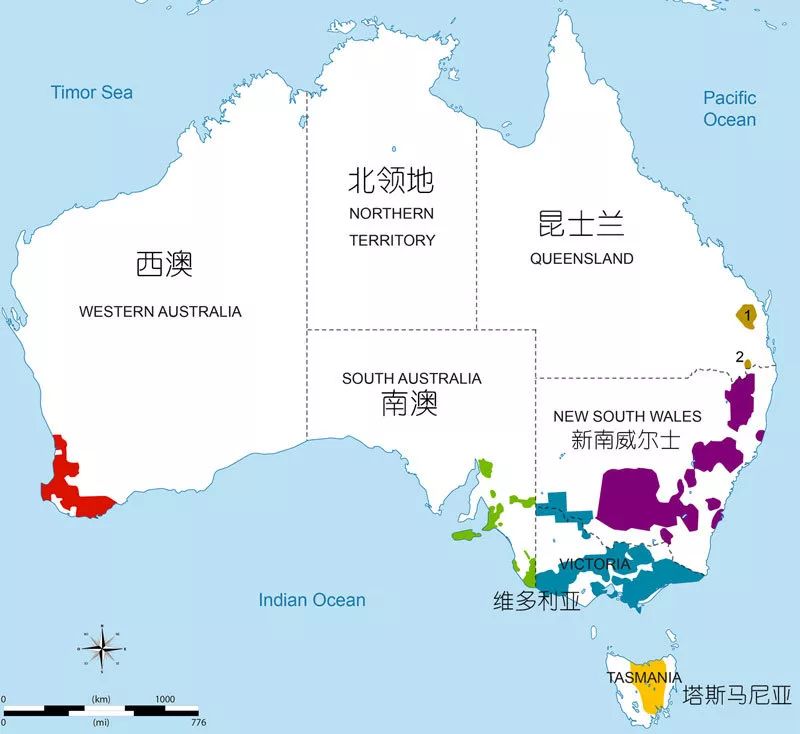 澳洲最值得收藏的葡萄酒,收藏葡萄酒推荐排行榜前十名