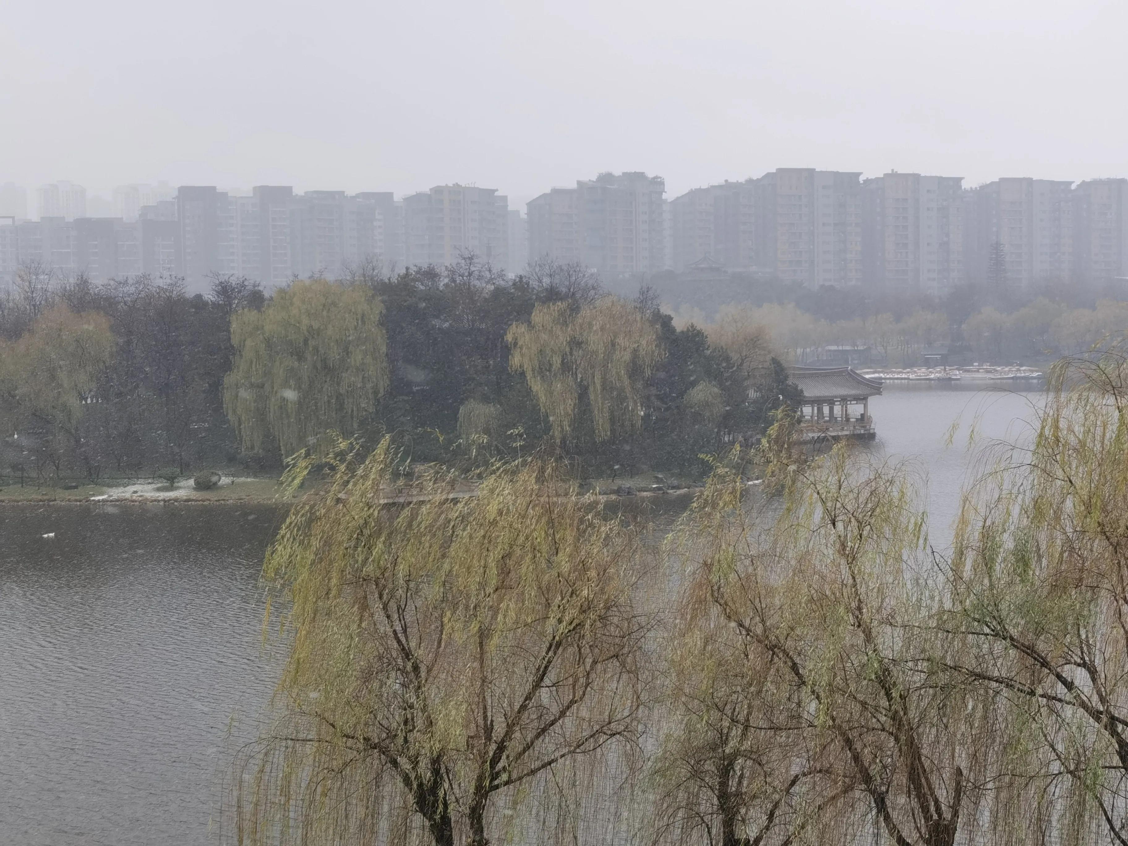 冬雪歌曲,冬雪原唱