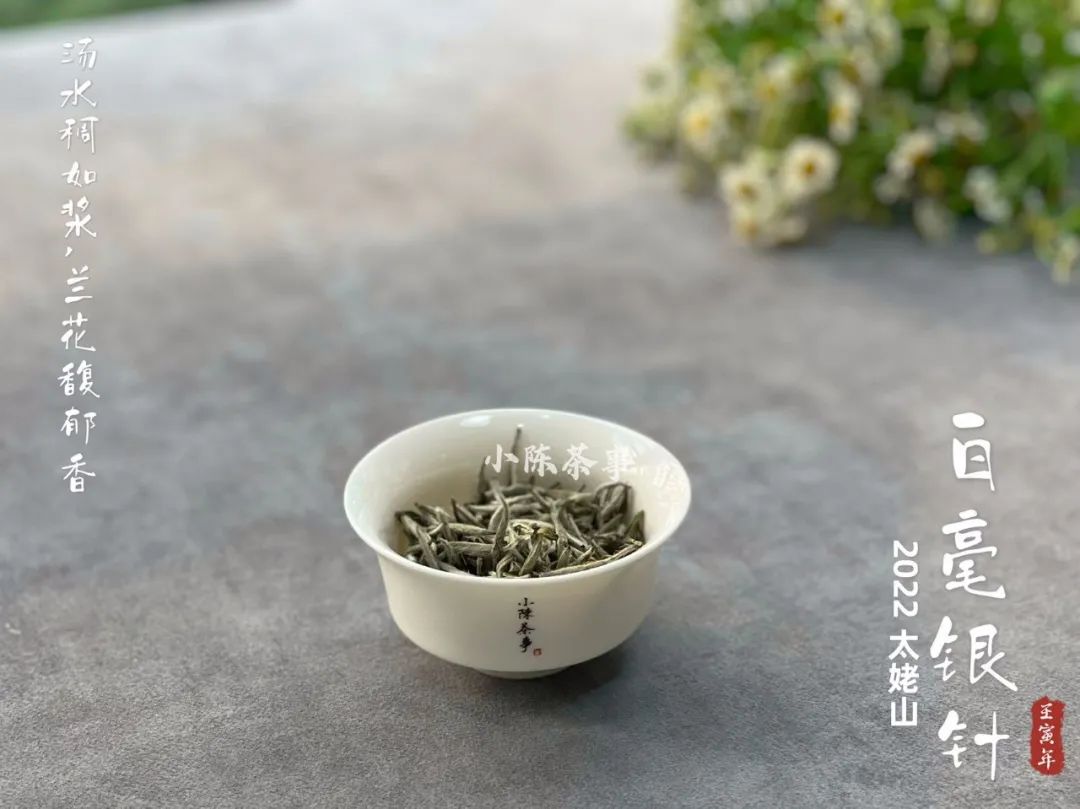 白毫银针最低多少钱真的,白毫银针便宜的能买吗