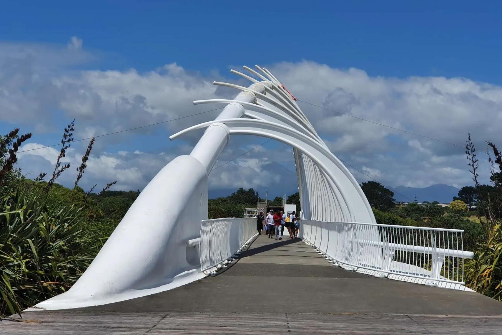 卯兔贺岁迎新纳福,卯兔新年作品