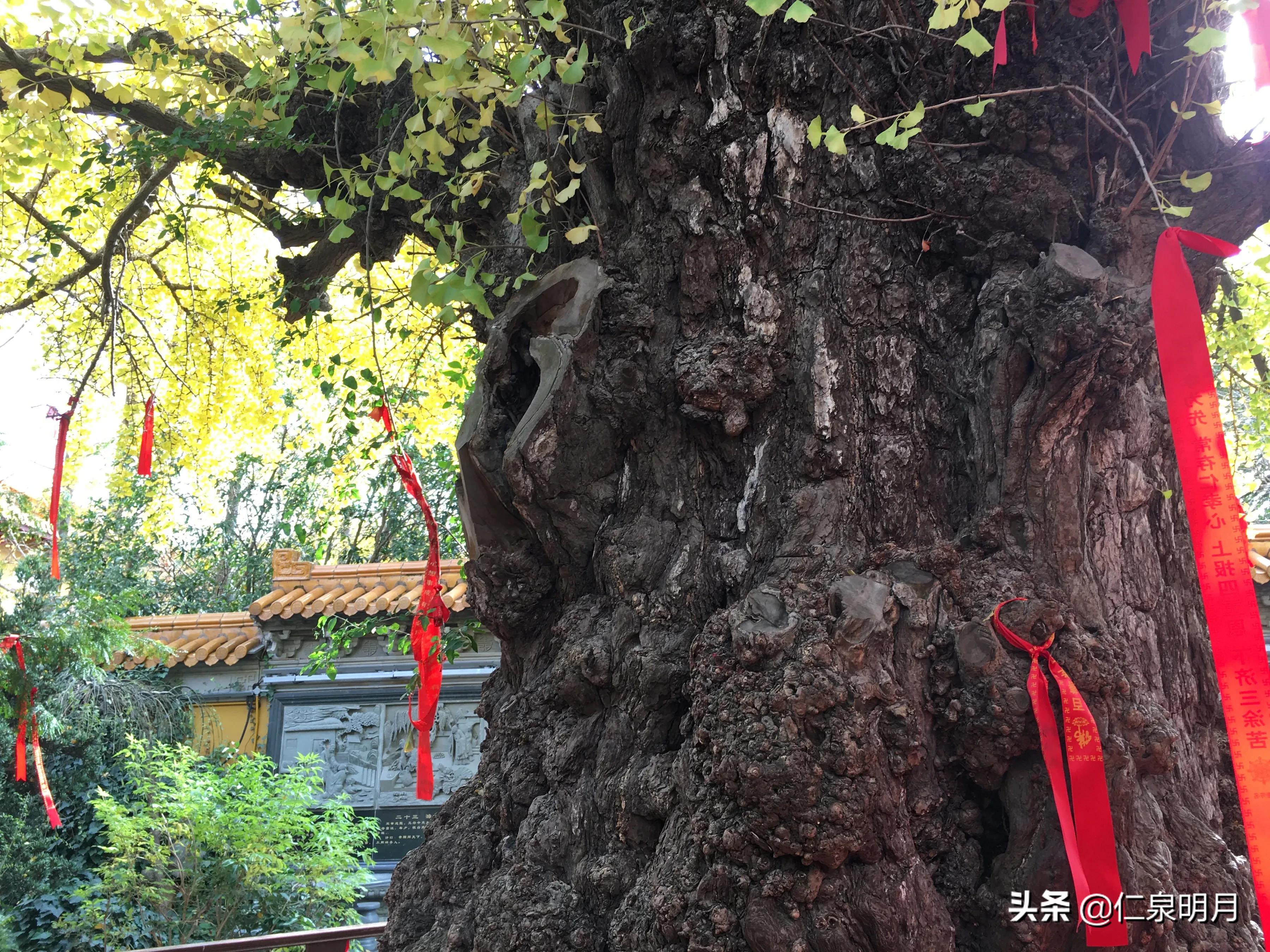 南桥二严寺洗心之行