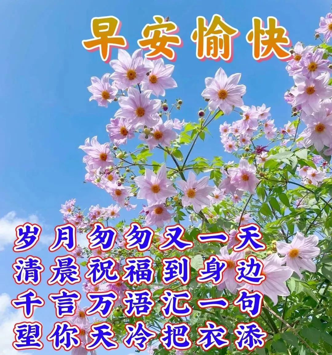 周末早安最漂亮问候图片带字,周三早安正能量图片带字