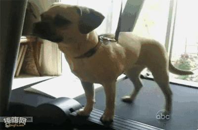 海运澳洲一般时间多长,澳洲海运和直邮时效