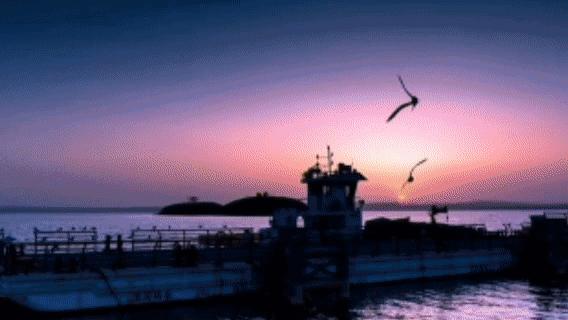 来乌海!给你画一道彩虹……