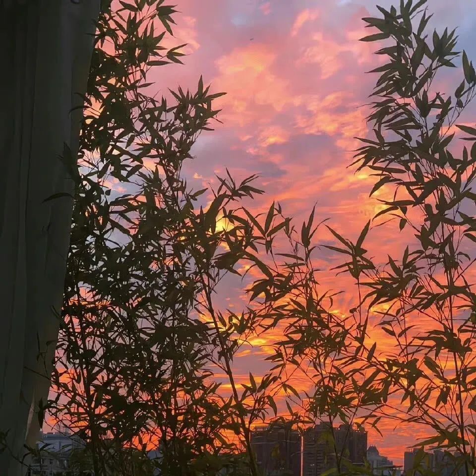 微信朋友圈动态背景图,微信朋友圈背景图暴富