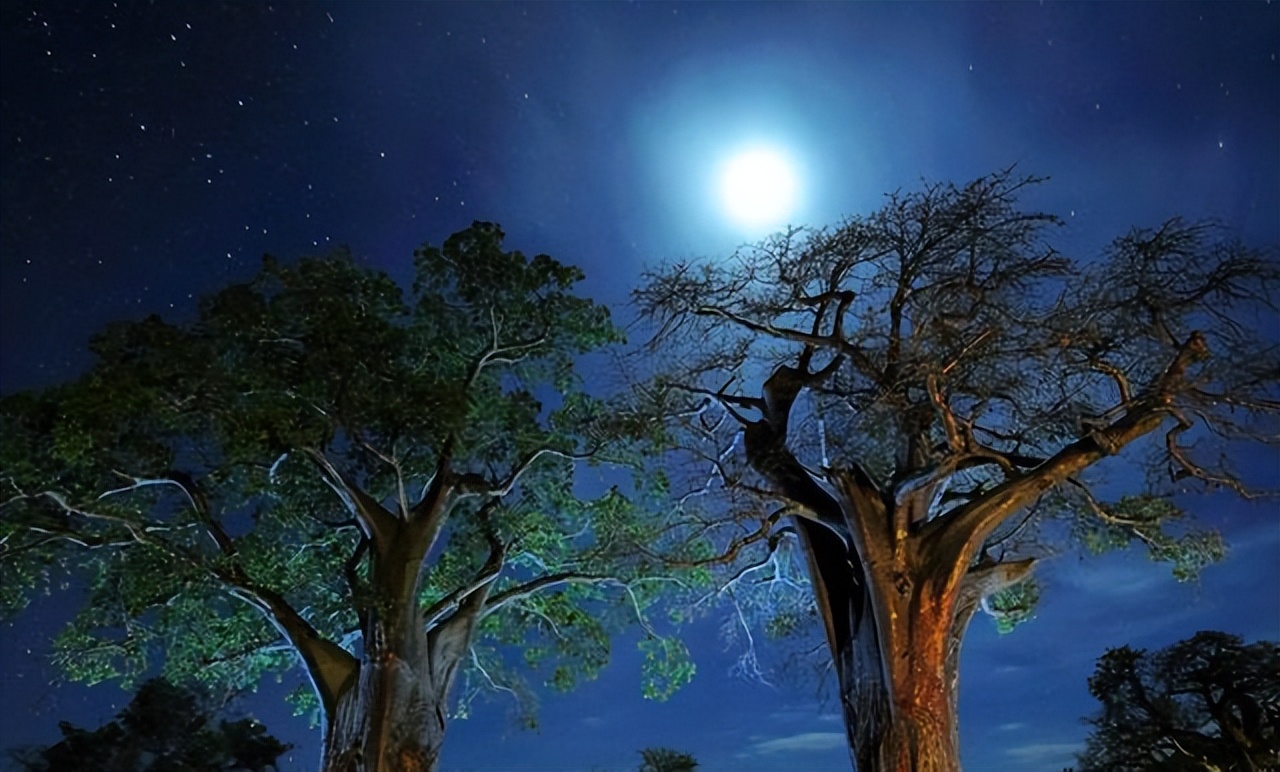 李贺：“奇”“诡”“冷”“艳”的另类诗人