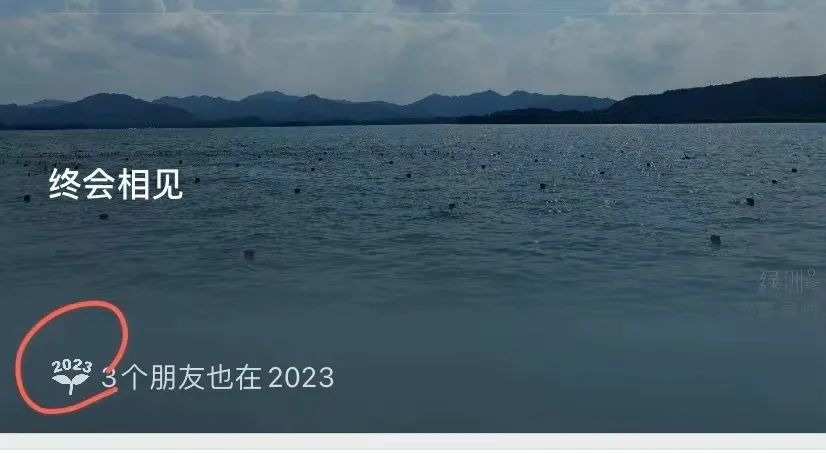 微信的年度账单怎么看花了多少钱,微信年度账单真的是花出去的钱吗