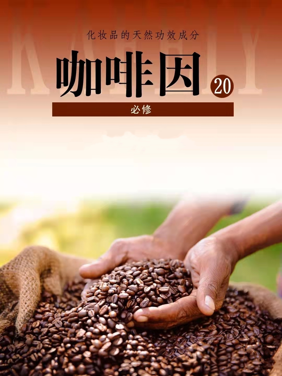 咖啡因成分护肤品便宜好用推荐,含有咖啡因的护肤品好不好