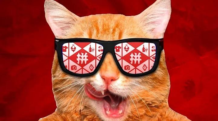 新手同时做淘宝跟拼多多可以吗,拼多多电商运营培训免费学