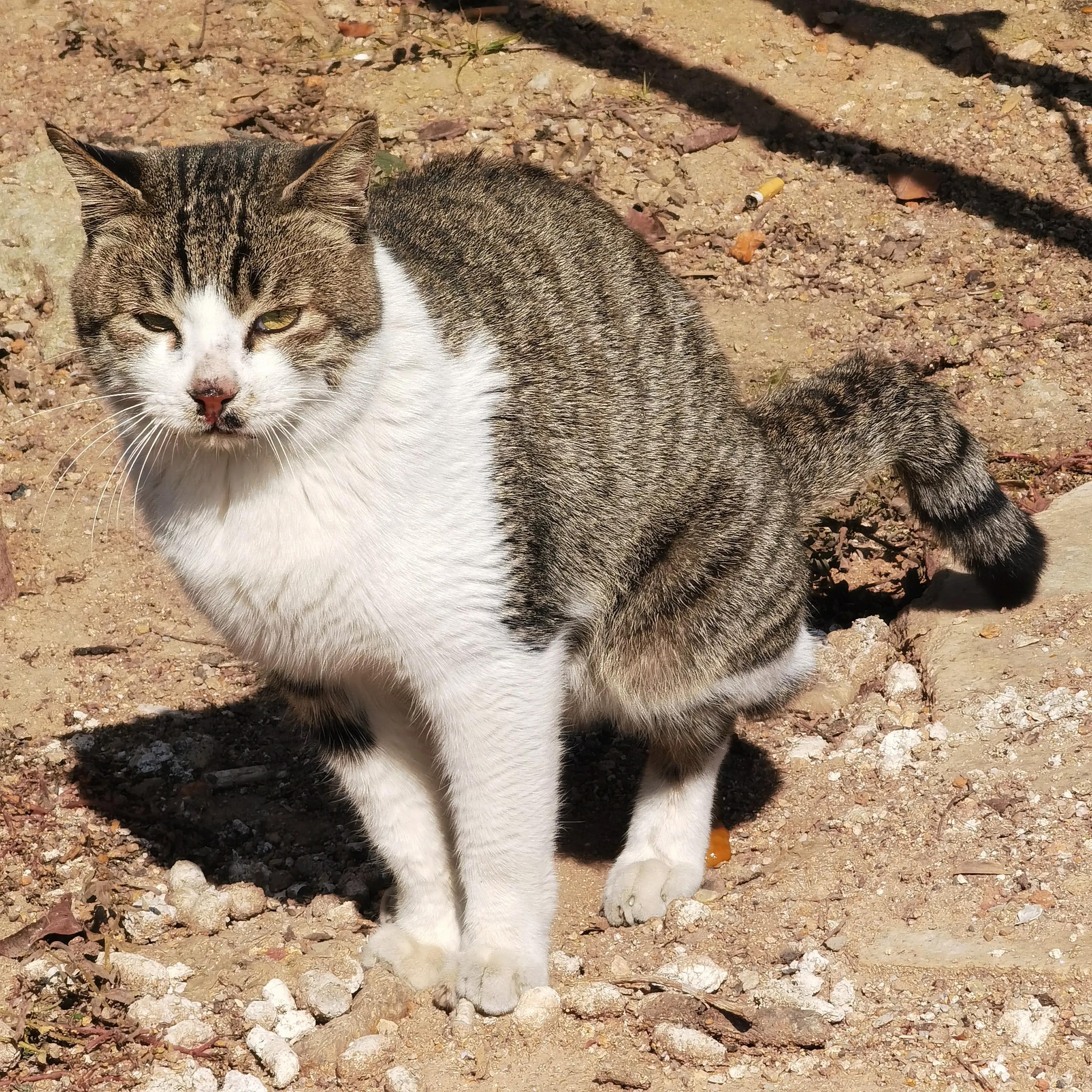 西山岩寺旅游攻略,西山岩之行