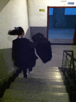 新手为什么不养鳄龟,养了一年的鳄龟怎么一点都不凶