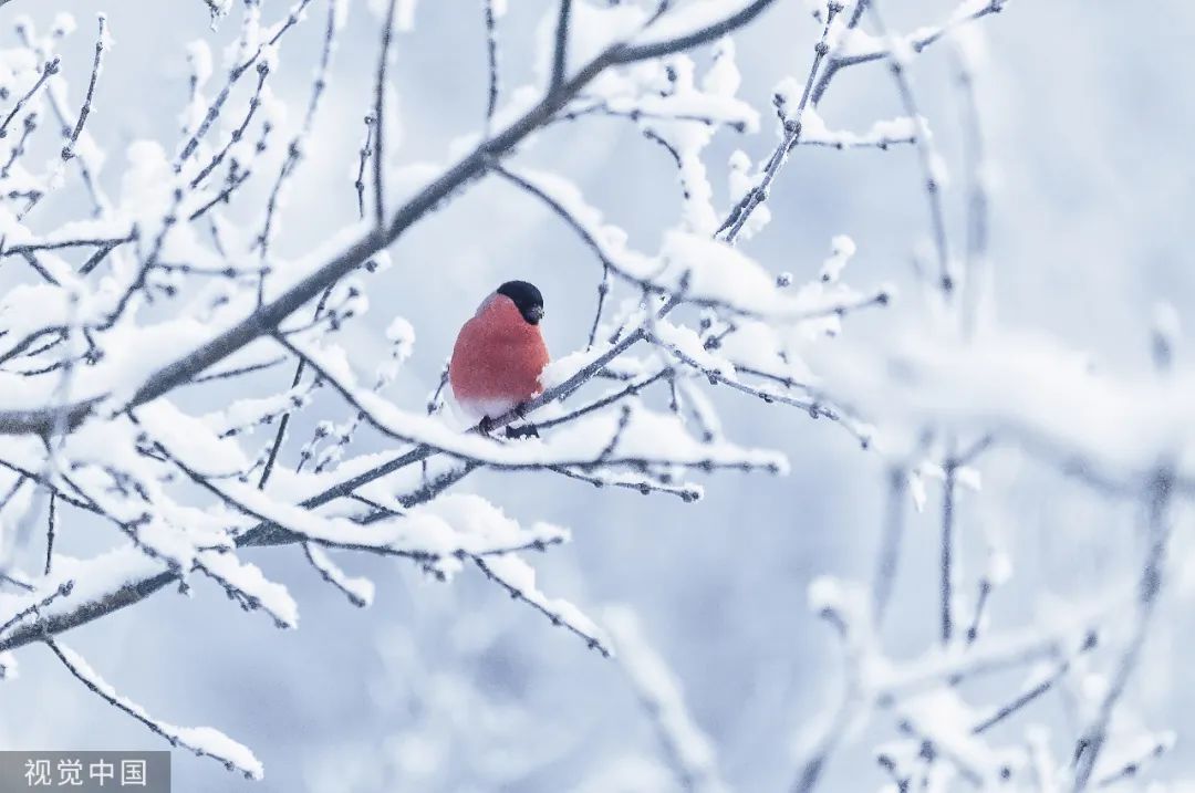 古人对雪的雅称有多浪漫,古人对雪的雅称配图