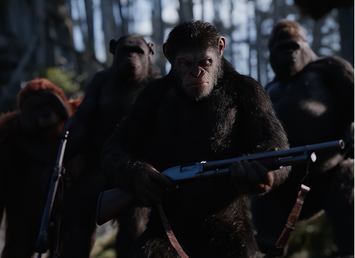 猩球崛起是哪种类型的猩猩,猩球崛起分别是哪种猩猩