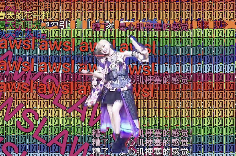 极乐净土为什么受二次元喜欢,极乐净土二次元合集