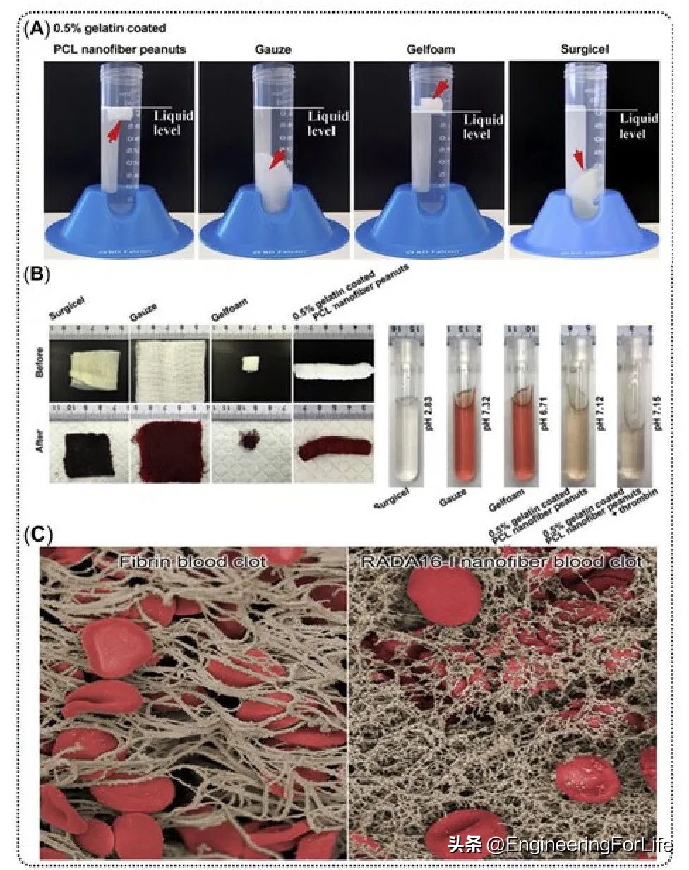基于dSAP生物材料的纳米止血剂--从实验室到临床的科学之路