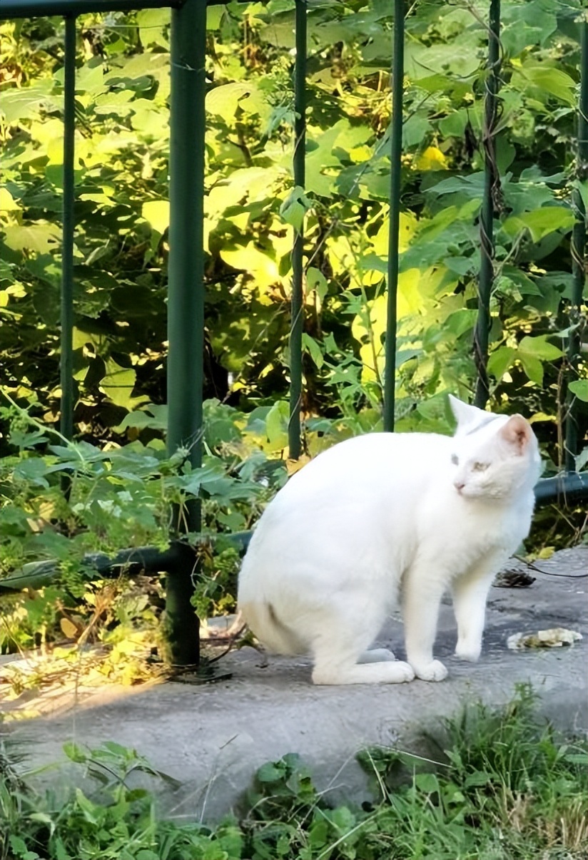 山中医er的“小确幸”