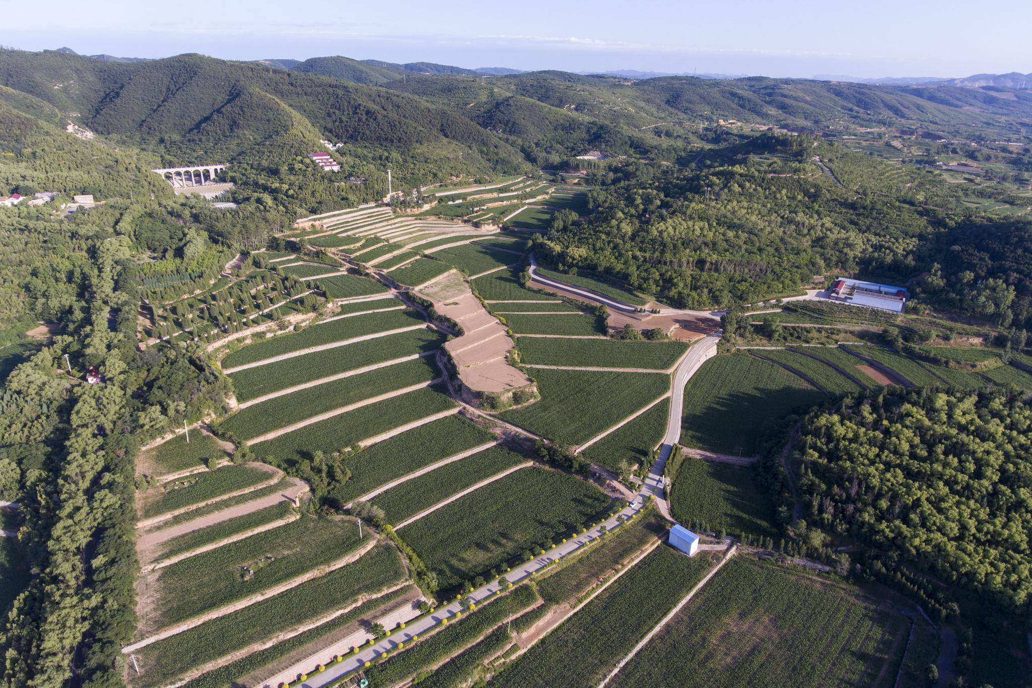 中国十大名村大寨村简介,大寨村被评为中国十大名村在哪年