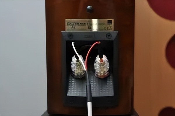 达尼皇太子DALIMENUETSE测评