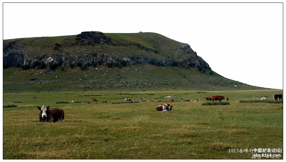 内蒙古自驾游达里诺尔,内蒙古达里诺尔湖旅游视频