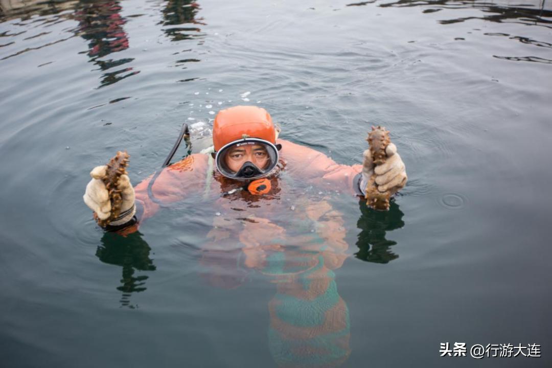 大连海岛游自由行,大连海岛旅游自由行攻略