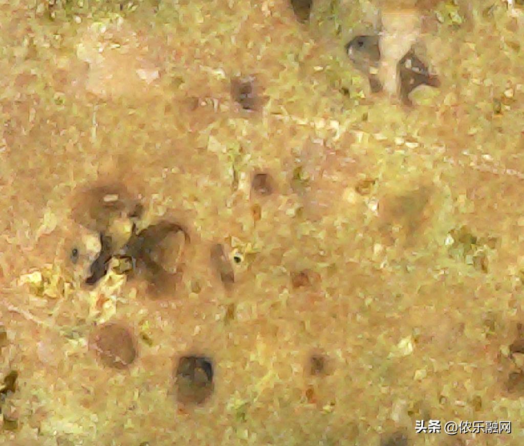 深色基质的都是碳质球粒陨石吗,红色基质黑色球粒是什么陨石