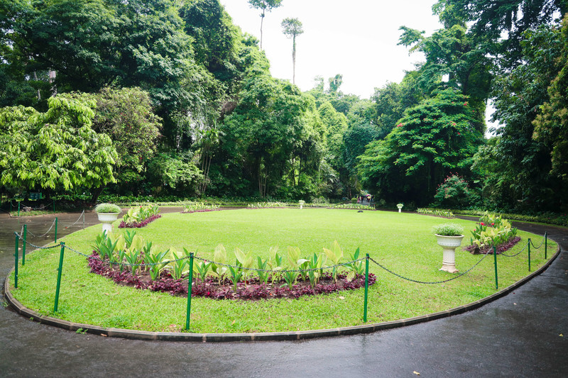 斯里兰卡旅游攻略必去景点,斯里兰卡旅游攻略最佳时间