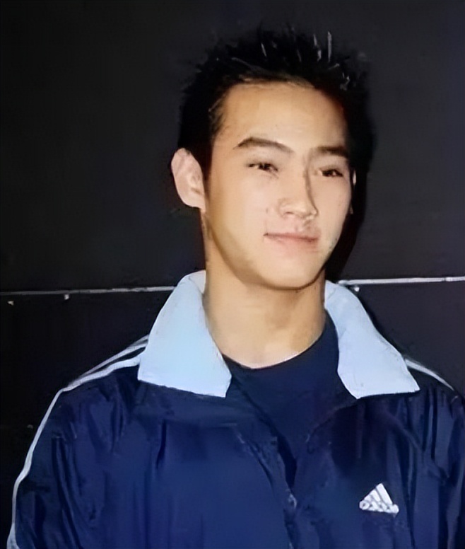 李双江收入过亿吗,李双江的养老金多少