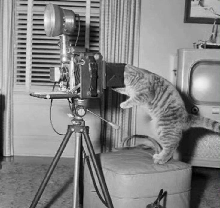 日军泯灭人性的酷刑：日军扫荡后被凌辱的妇女老人受到残酷的刑罚