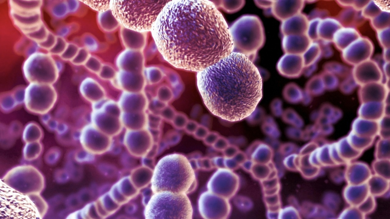 小儿急性肾小球肾炎致病菌,引起急性肾小球肾炎的病原体是