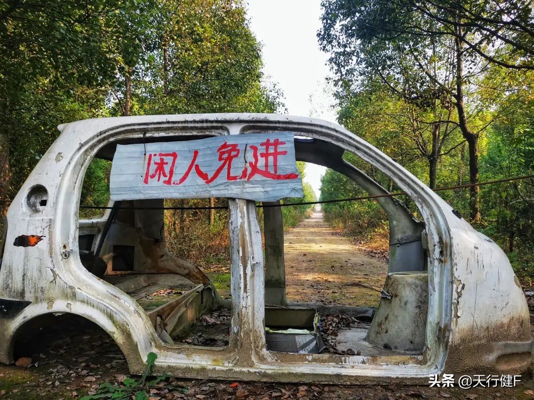 汽车投稿作品欣赏,汽车征文获奖