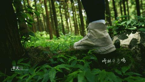 自在桂平,自在宜州