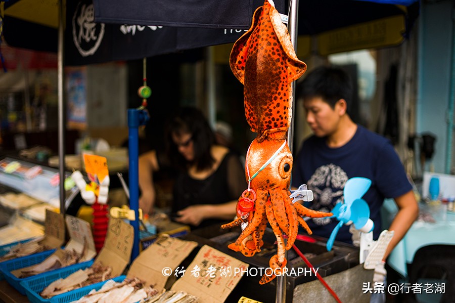 香港有多少离岛,香港有多少个旅游岛