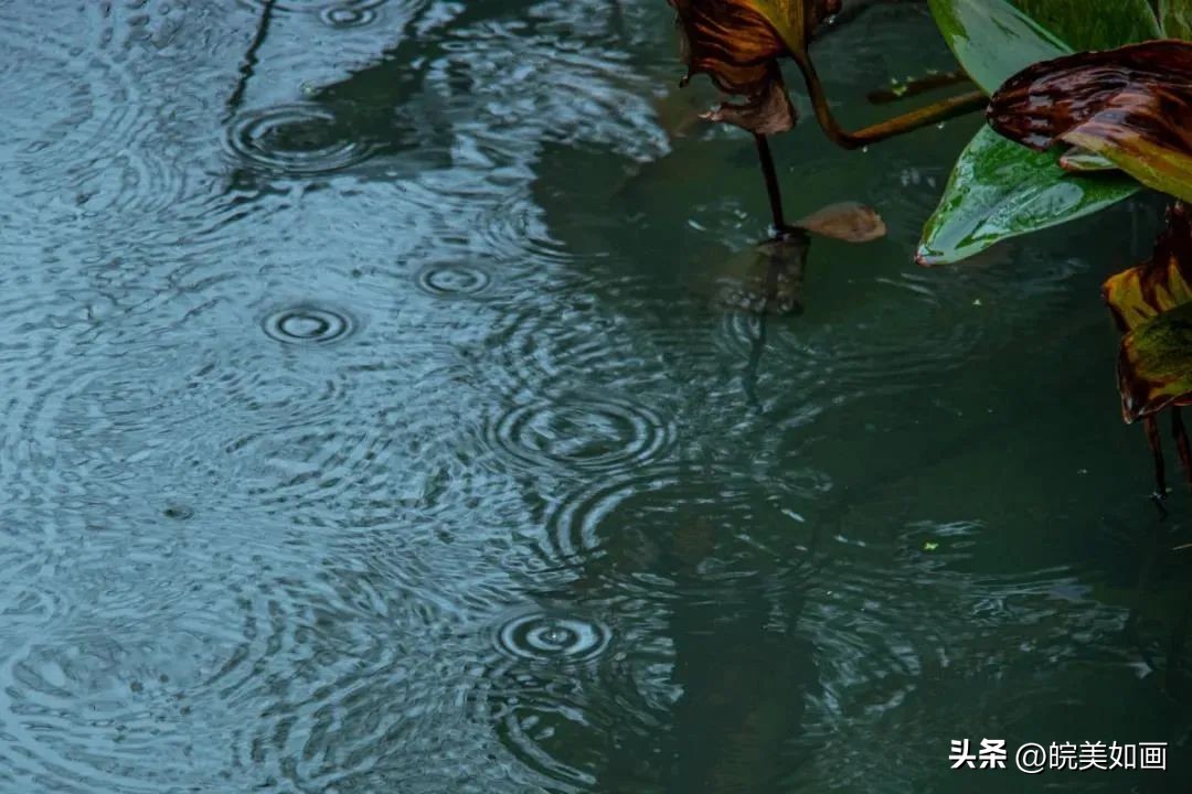 安徽大学好看的风景,高校最美秋景