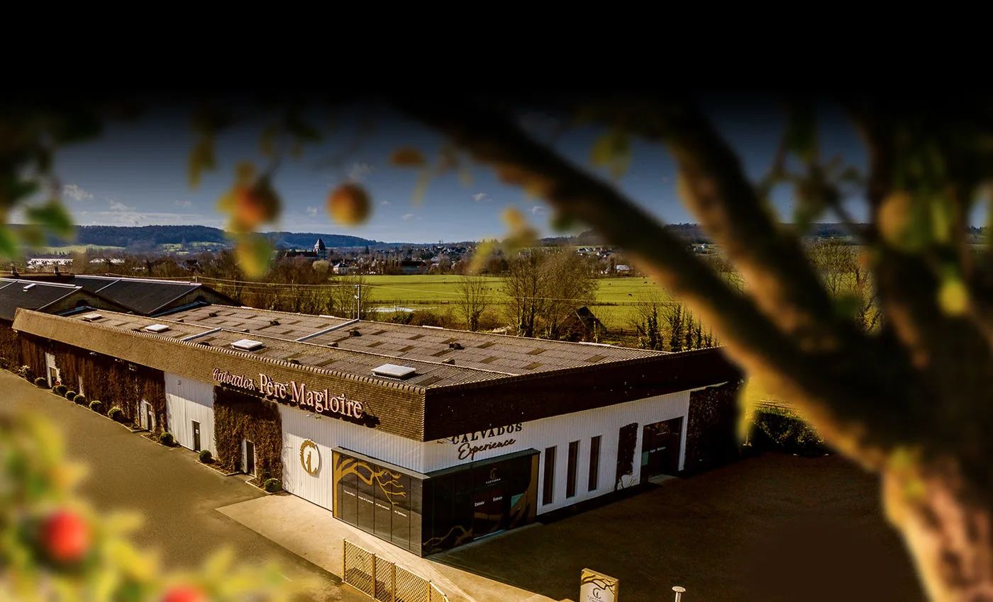 不容错过法国红酒,不容错过的精彩时刻