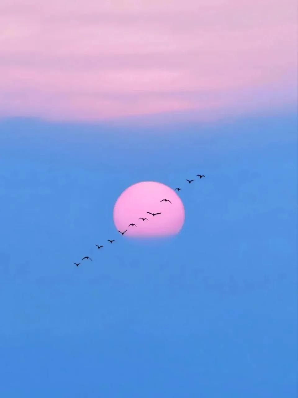 厮守一生的唯美诗句图片,相爱的诗句经典语录图片