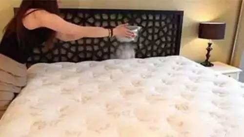 家庭祛除螨虫的有效方法是什么,家里有螨虫用什么东西除螨好