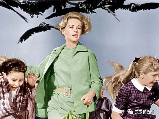 91岁养狮子走红毯拍奢侈品广告，这个优雅金发*物尤**太生猛了