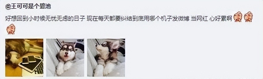 王思聪不可一世的视频,此时的王思聪怎么样了