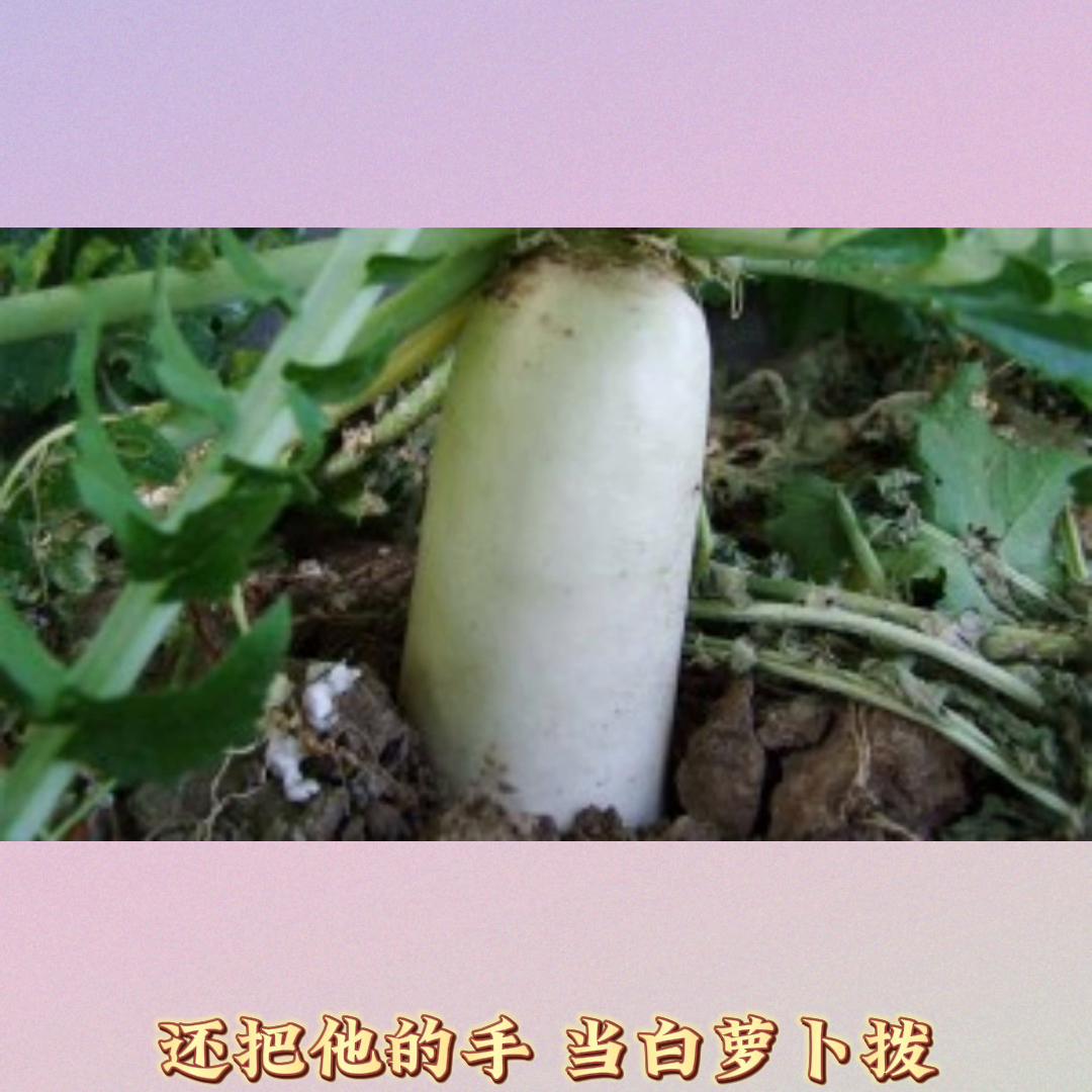 记录幸福时刻简简单单的快乐时光,记录幸福时刻摄影