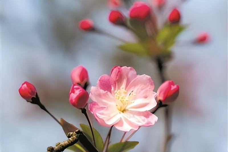 女人想和你进一步确定关系的表现,女人想和你保持关系的三种表现