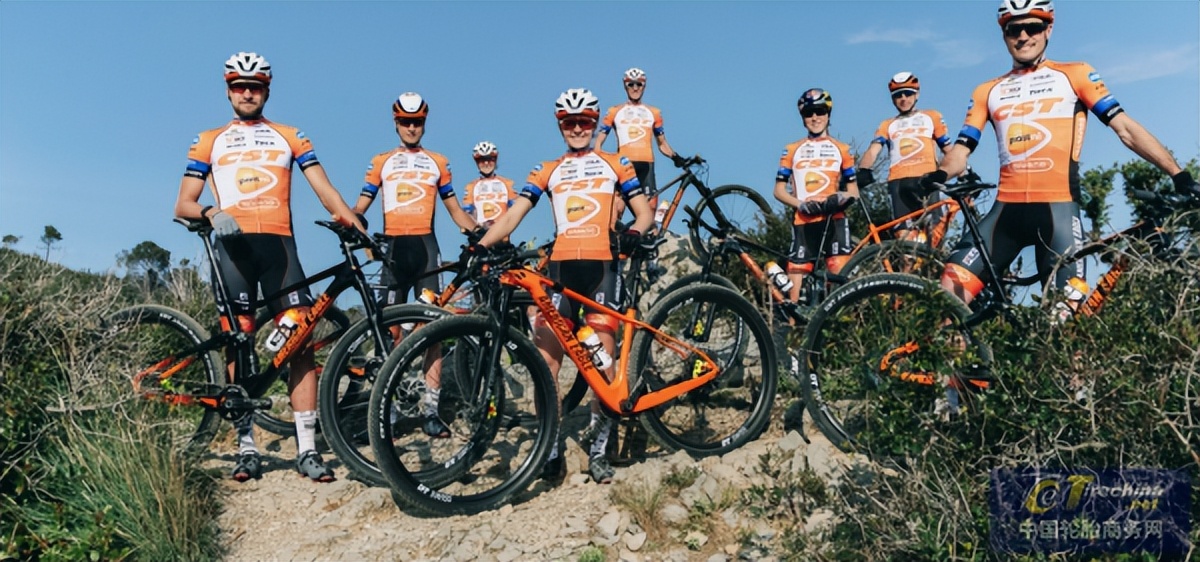 正新运动自行车胎,正新免充气自行车胎