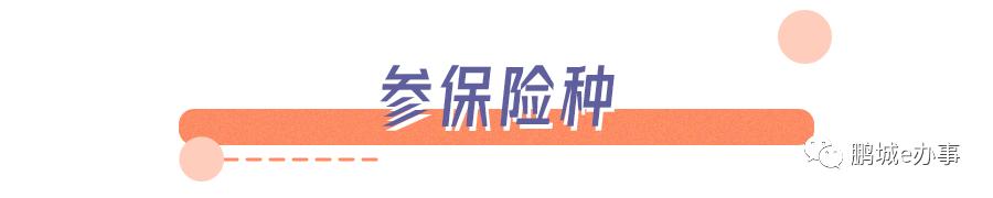 深圳非深户怎么个人缴纳社保步骤,非深户个人在深圳如何缴纳社保