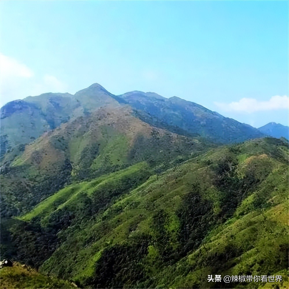 惠州市海岸线,惠州的海岸线