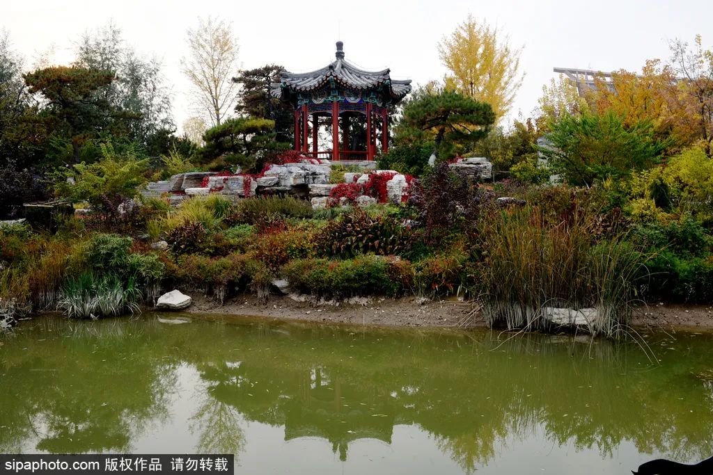 秋日泡温泉尽享轻松惬意美美哒,探寻北京最美的温泉胜地