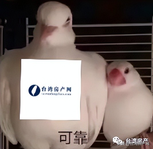 台湾买房步骤,现在适合在台湾买房吗