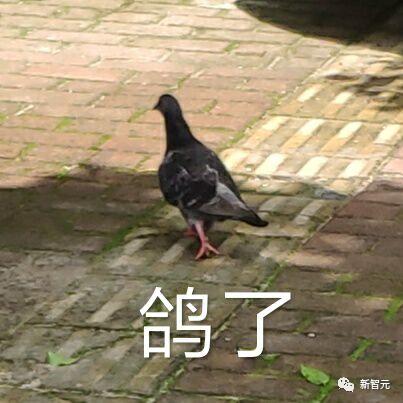 google大脑和deepmind,谷歌deepmind项目揭秘