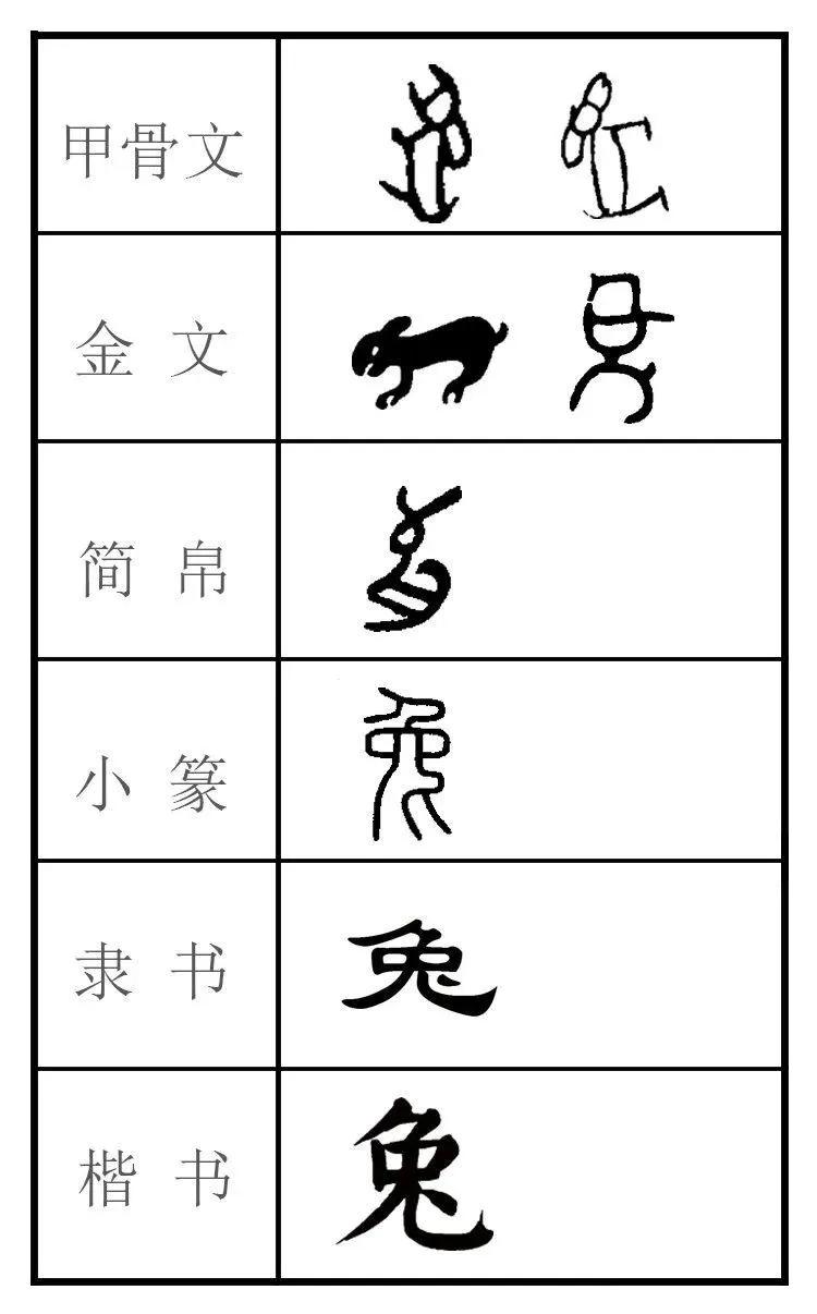 兔年话兔作文600字,兔年属兔创业