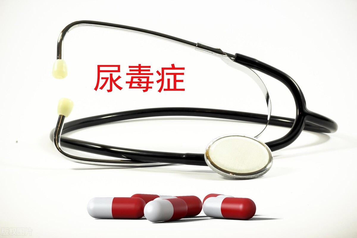 尿毒清颗粒对慢性肾盂肾炎转化生长因子及免疫球蛋白水平的影响