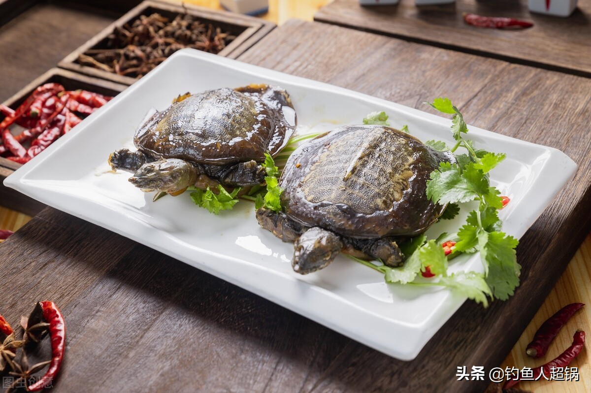 野钓甲鱼用几号钩,鱼钩野钓甲鱼的最佳方法